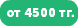 от 4500 тг.